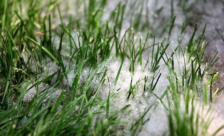 冬季將至，如何除去人造草皮中的冰雪？鉆石地為您支招